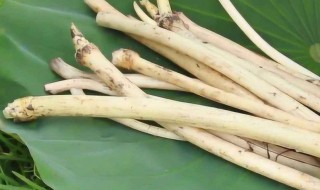 新鲜耦带怎么保鲜 新鲜耦带保鲜的方法