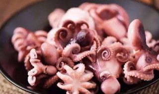 章鱼做的食物 章鱼的家常烹饪方法