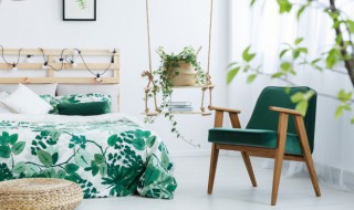 新房子放什么东西吸收甲醛最快 新房子放哪些东西吸收甲醛最快