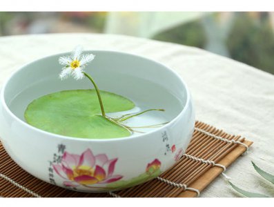 一叶莲开花后修剪 一叶莲开花后怎么修剪方法