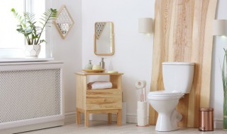 卫生间门口挂什么物件好 卫生间门口适合挂什么物件好