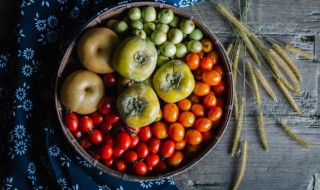 小番茄适合室内种吗 小番茄能不能室内种