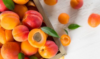 果胶对人体有害吗 果胶对身体有害吗