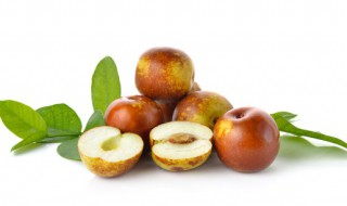 夏天新鲜枣子怎么保存 夏天新鲜枣子的保存方法介绍