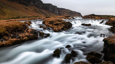 隐藏超高智商的傻星座 表面看似很傻其实很聪明的星座