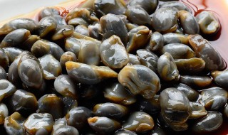 哪些人不宜吃泥螺 泥螺什么人不宜吃