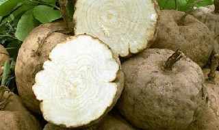 葛根可以直接吃吗 葛根可以直接食用吗