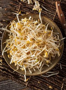 绿豆芽的特色菜谱 教你烹出精彩菜品