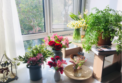 花瓶里面加什么延长鲜花寿命 加粒小药片花期延长2倍