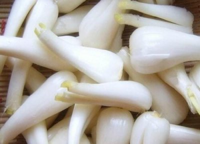 荞头的种植方法和时间 田间管理 什么时候种最合适