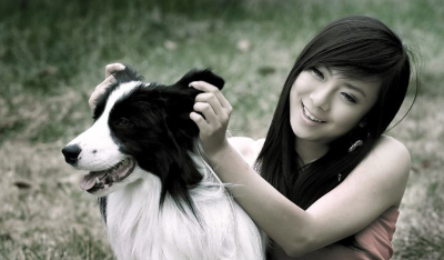 适合女生养的巨型犬霸气 好看又不失温柔的7种中大型犬