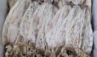 干鱿鱼可以直接吃吗 直接吃干鱿鱼好吗