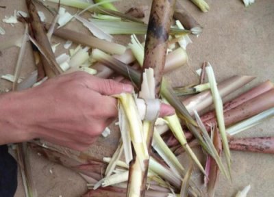 竹笋怎么剥 竹笋怎么剥皮比较好