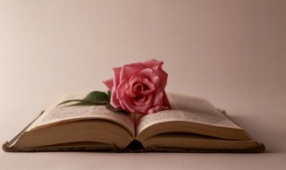 跨年祝福简单 跨年祝福简短句子