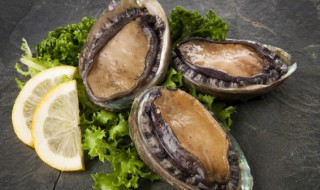 羊肉和鲍鱼能一起吃吗 羊肉和鲍鱼是否可以一起吃