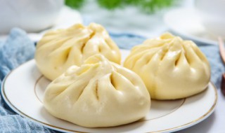 买的包子如何保鲜储存好 买的包子怎样保鲜储存好