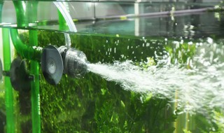 小鱼缸打氧多长时间最合适 鱼缸打氧需要全天进行吗