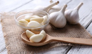 新鲜大蒜籽如何保存 新鲜大蒜籽的保存方法分享