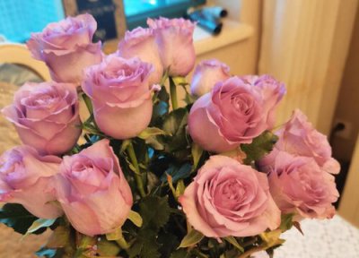 玫瑰花象征着什么意义 送玫瑰花几朵各代表什么