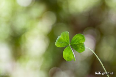 分手了男人不删你也不联系你 这种男人是什么心态