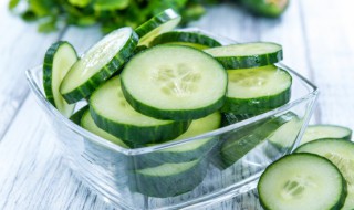 冬天怎么种植黄瓜 冬季如何种黄瓜