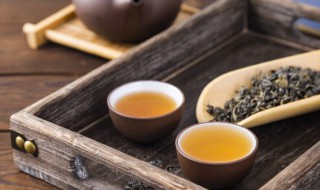 迷帝茶是什么 迷帝茶简单介绍