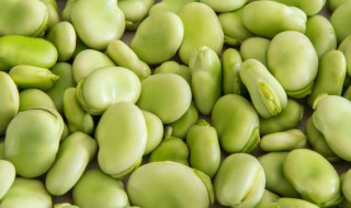 新鲜蚕豆油炸凉拌好吃吗 新鲜的蚕豆如何做好吃