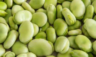 蚕豆煮多久 蚕豆煮几分钟比较好