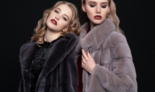 獭兔毛能水洗吗 獭兔毛可以水洗吗