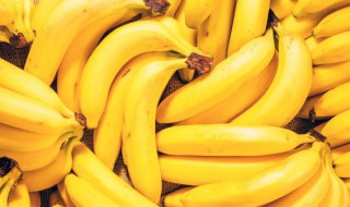 闽南盛产的水果 闽南适合种植的水果