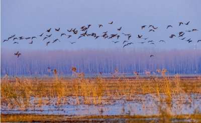 宿鸭湖水库简介 位于河南的宿鸭湖水库是亚洲最大平原水库