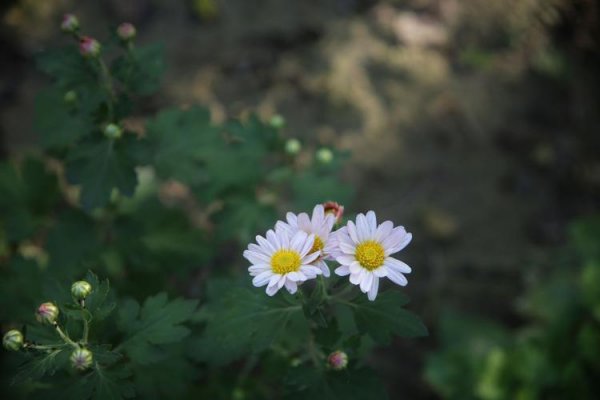 男人眼中有趣的女人是啥样子