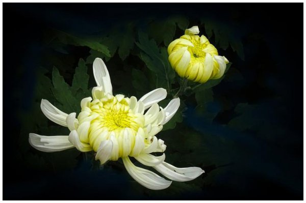 男人眼中有趣的女人是啥样子