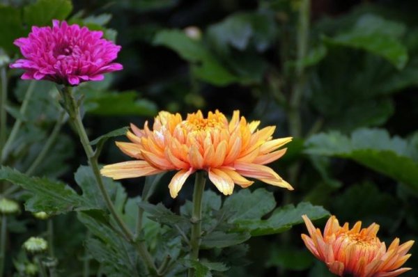 男人眼中有趣的女人是啥样子