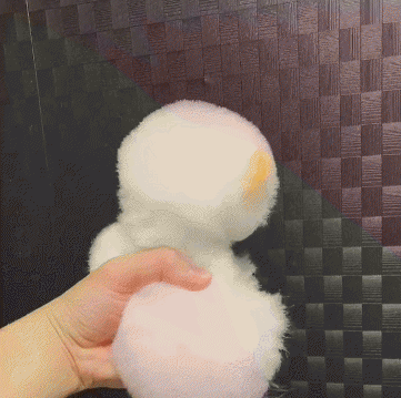 茶杯犬背后的残忍真相