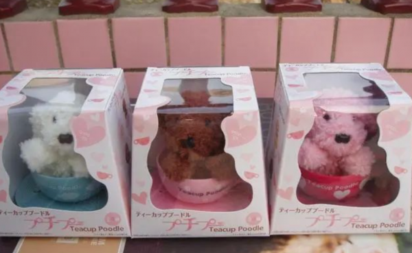 茶杯犬背后的残忍真相