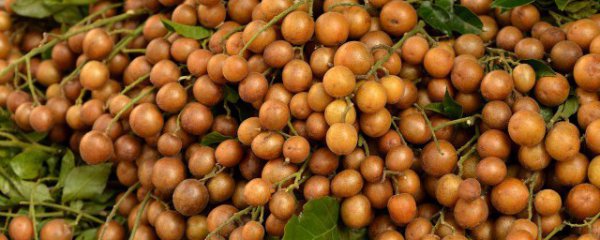 开水果店水果怎么保鲜