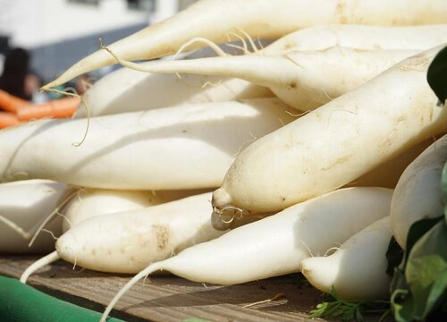 萝卜怎么种植方法