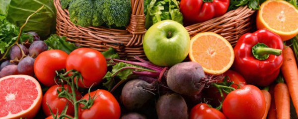 人工育苗西红柿种植方法