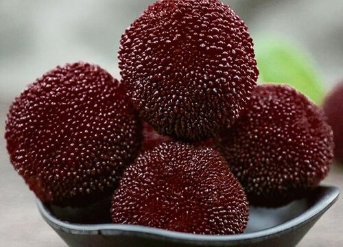 泡酒水果有哪些品种