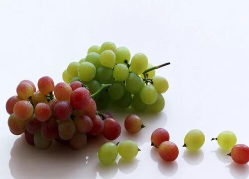 泡酒水果有哪些品种