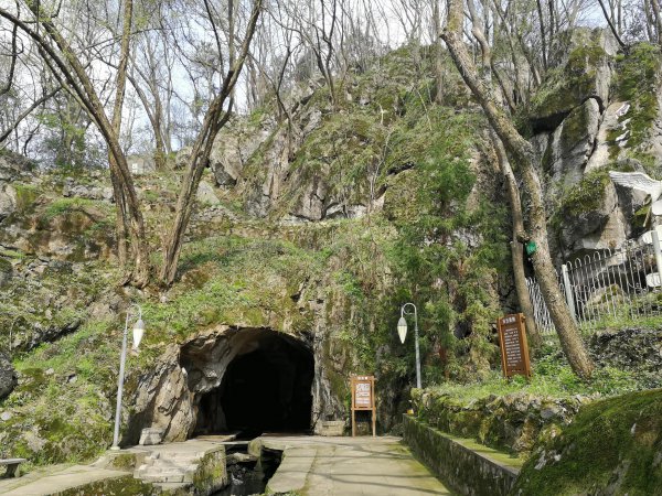 江夏一日游最值得去的地方有哪些