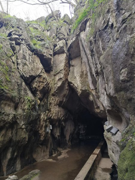 江夏一日游最值得去的地方有哪些