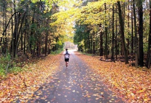 女人游泳和瑜伽哪个好