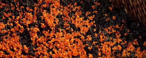 浦城特产有什么