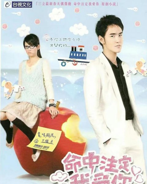 台湾偶像剧电视剧排行榜前十名