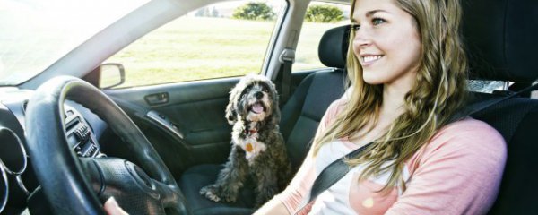 新能源汽车充电为什么越来越慢