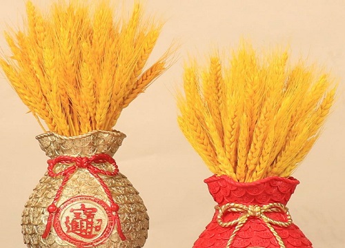 家里为什么不能放麦穗