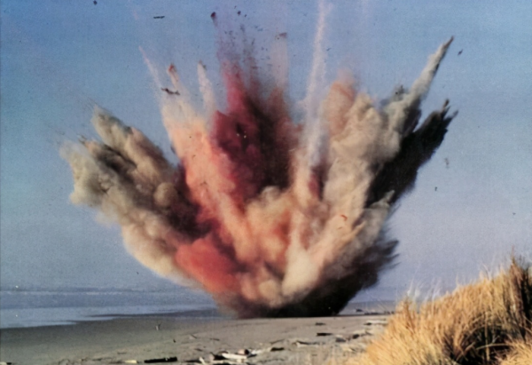 搁浅鲸鱼为什么救不活