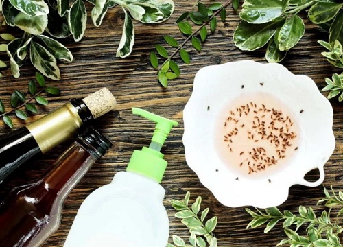 卧室好多小飞虫黑色的怎么消除